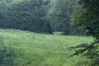 Property for sale in Cumberland County, Kentucky