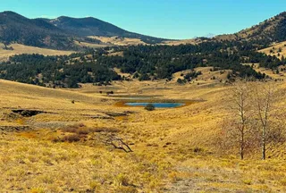Ranch Property for sale in Park County, Colorado
