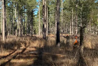 Recreational Property for sale in Crenshaw County, Alabama