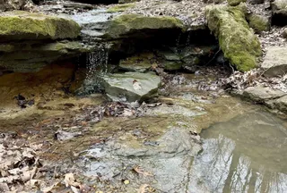 Undeveloped Land for sale in Crawford County, Wisconsin