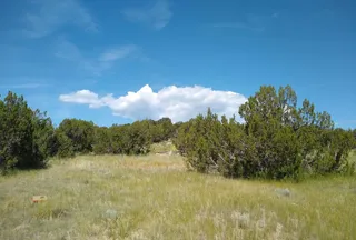 Undeveloped Land for sale in Huerfano County, Colorado