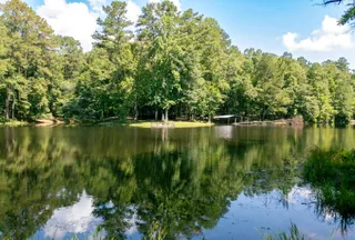 Undeveloped Land for sale in Tuscaloosa County, Alabama
