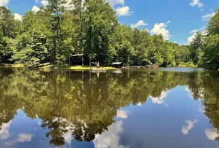 Undeveloped Land for sale in Tuscaloosa County, Alabama