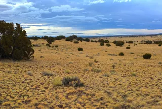 Property for sale in Apache County, Arizona