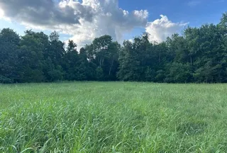 Property for sale in Hart County, Kentucky