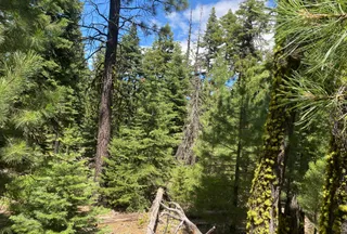 Recreational Property for sale in Modoc County, California