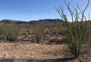 Property for sale in Mohave County, Arizona