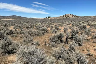 Undeveloped Land for sale in Elko County, Nevada