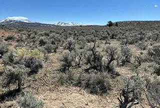 Undeveloped Land for sale in Elko County, Nevada