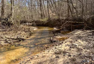 Property for sale in Randolph County, Alabama