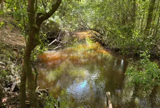 Riverfront Property for sale in Baldwin County, Alabama