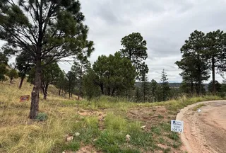 Undeveloped Land for sale in Lincoln County, New Mexico