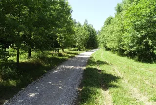Property for sale in Hart County, Kentucky