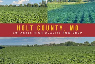 Undeveloped Land for sale in Holt County, Missouri