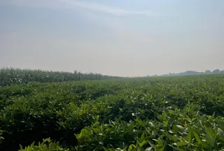 Undeveloped Land for sale in Holt County, Missouri