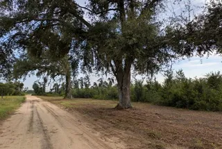 Undeveloped Land for sale in Madison County, Florida