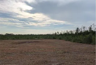 Undeveloped Land for sale in Madison County, Florida