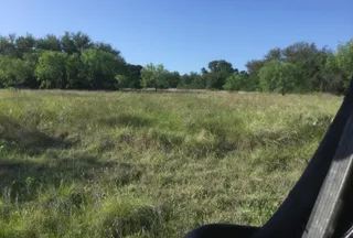 Undeveloped Land for sale in Stephens County, Texas
