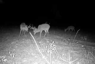 Recreational Property for sale in Arenac County, Michigan