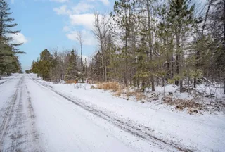 Undeveloped Land for sale in Saint Louis County, Minnesota