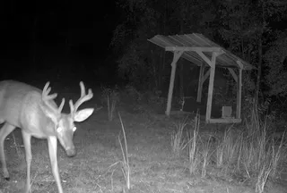 Ranch Property for sale in Gadsden County, Florida