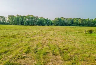 Undeveloped Land for sale in Lawrence County, Tennessee