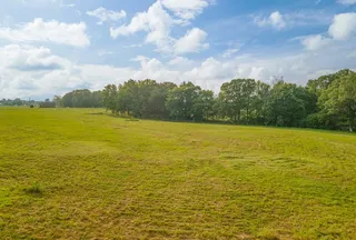 Undeveloped Land for sale in Lawrence County, Tennessee