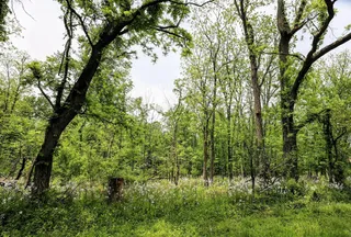 Recreational Property for sale in Barry County, Michigan