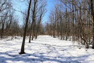 Recreational Property for sale in Barry County, Michigan