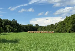 Undeveloped Land for sale in Sharp County, Arkansas