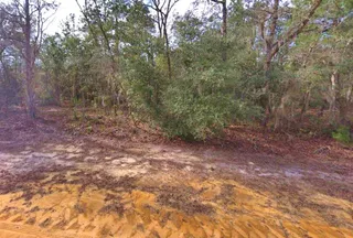 Undeveloped Land for sale in Putnam County, Florida