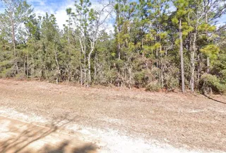 Undeveloped Land for sale in Putnam County, Florida