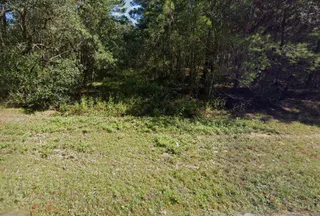 Undeveloped Land for sale in Putnam County, Florida