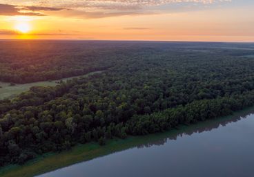 BIRDSONG RIDGE FARM LLC