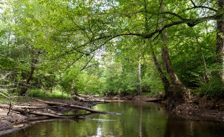 Property for sale in Jefferson County, Georgia