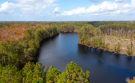 Property for sale in Effingham County, Georgia
