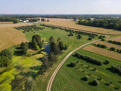 276 acres in Rock Island County Illinois