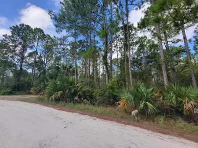 Land for Sale in North Central Florida Region - 3,519 Properties 