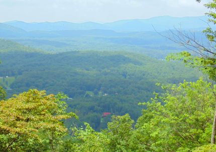 Recreational Property for sale in Fannin County, Georgia