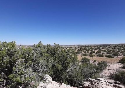 Undeveloped Land for sale in Apache County, Arizona