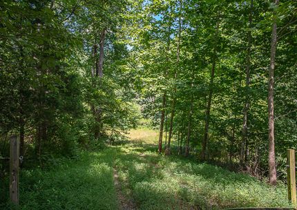 Riverfront Property for sale in Madison County, Virginia