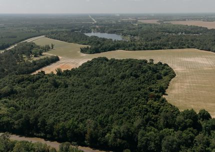 Undeveloped Land for sale in Thomas County, Georgia