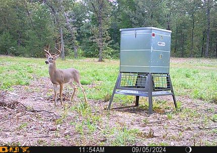 Hunting Land for sale in Van Zandt County, Texas