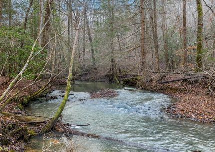 Recreational Property for sale in Scott County, Tennessee