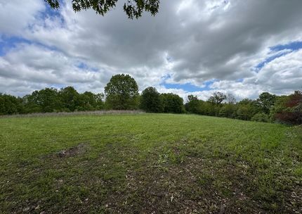 Undeveloped Land for sale in Dallas County, Missouri