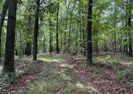 Undeveloped Land for sale in Hampshire County, West Virginia