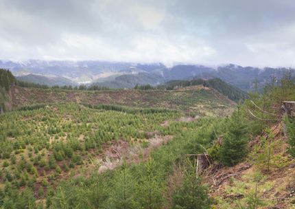 Recreational Property for sale in Lincoln County, Oregon