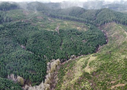 Undeveloped Land for sale in Lincoln County, Oregon