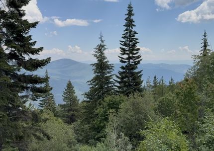 Undeveloped Land for sale in Boundary County, Idaho