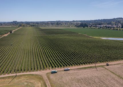 Undeveloped Land for sale in Polk County, Oregon